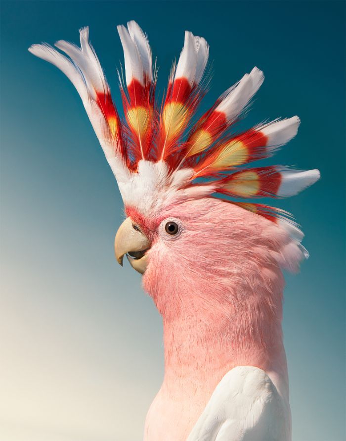 The Complete Guide to the new Samsung 2023 TV Range